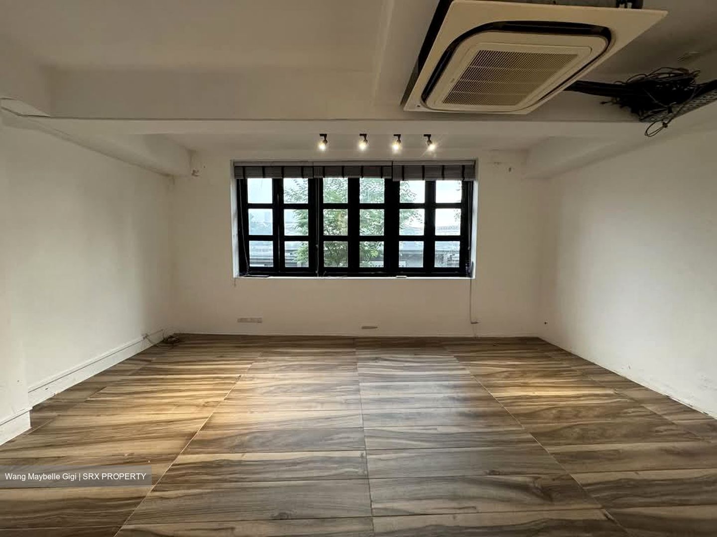 Boat Quay Conservation Area (D1), Shop House #554263591